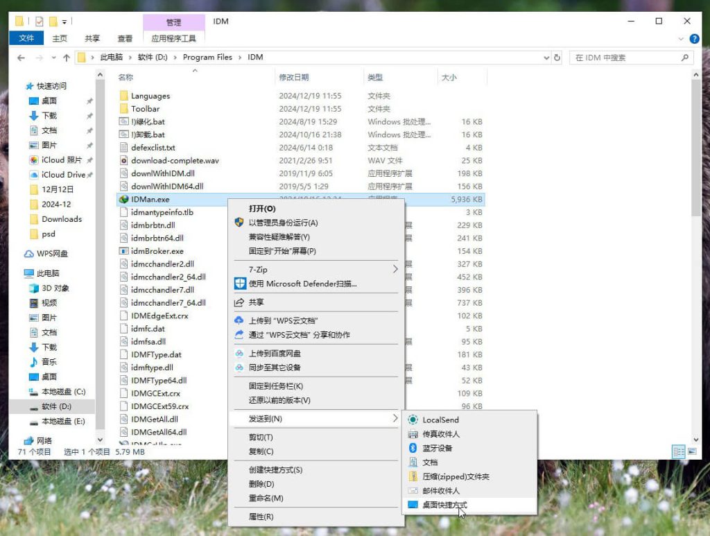 图片[7]-IDM绿色版一款国外流行的下载工具-墨宇星辰