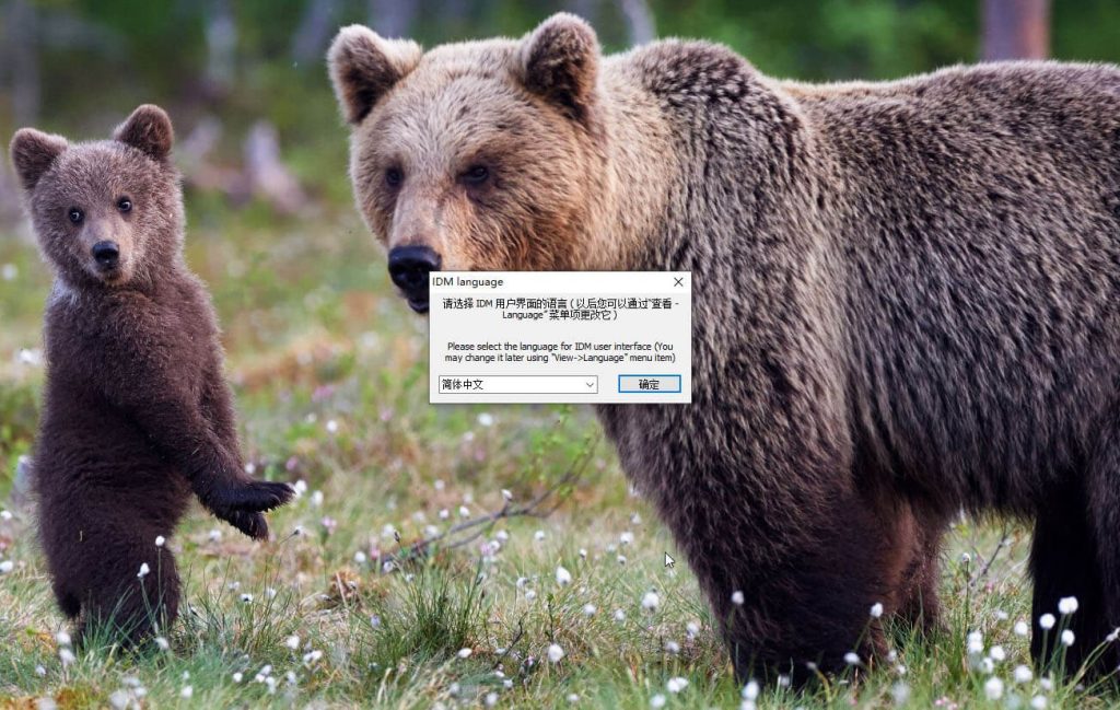 图片[8]-IDM绿色版一款国外流行的下载工具-墨宇星辰