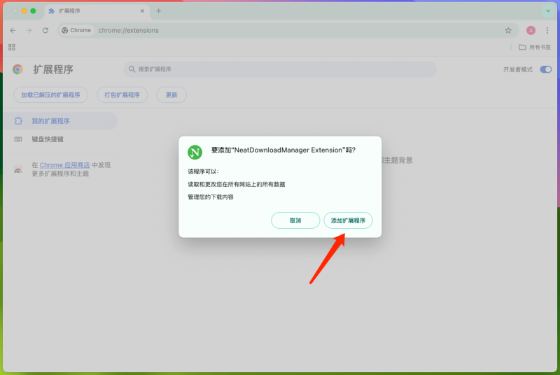 图片[13]-NDM下载器免费高速支持windows和mac-墨宇星辰
