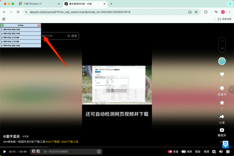 图片[16]-NDM下载器免费高速支持windows和mac-墨宇星辰